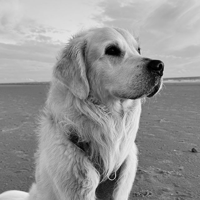 portraits_tabmag_11_640_bootsi